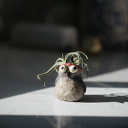 Mini Baby Woodpecker Planter