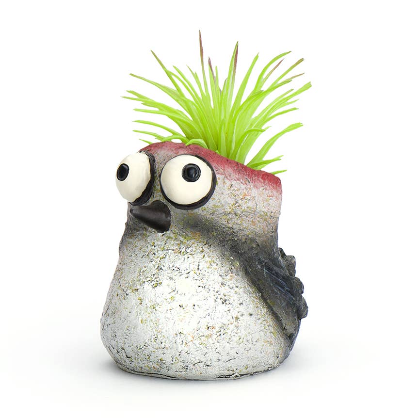 Mini Baby Woodpecker Planter