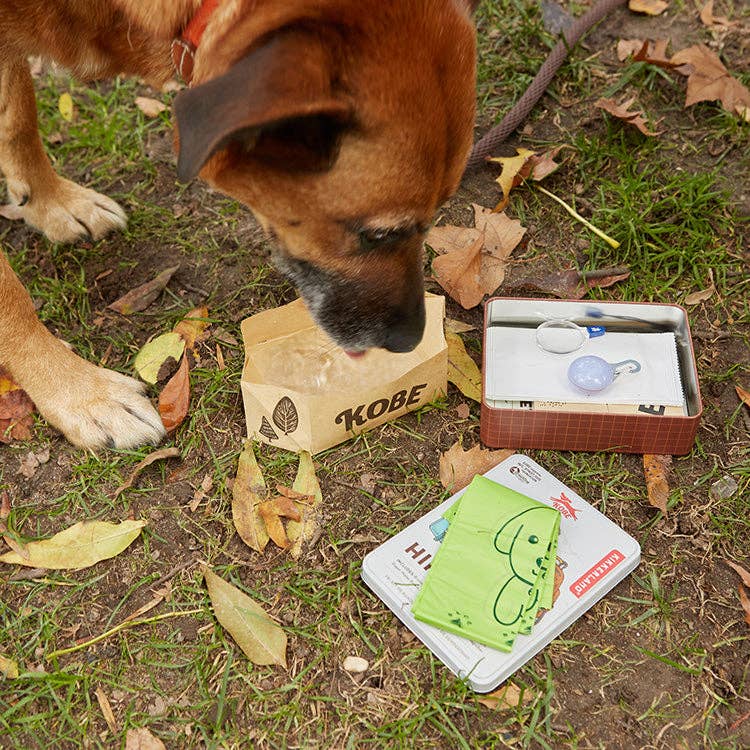 Hiking Buddy Dog Kit