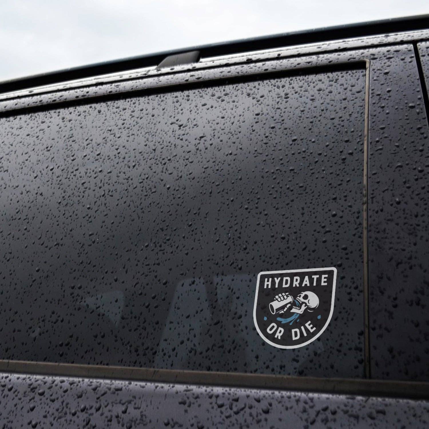 Hydrate or Die Sticker