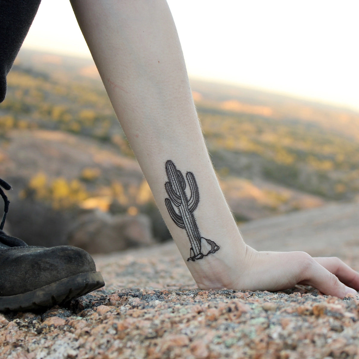 Tall cactus tattoo along the inner forearm in black outline
