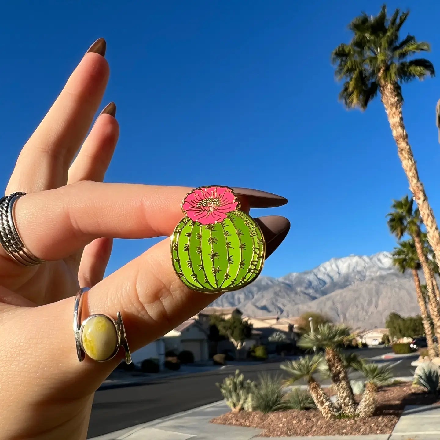 Barrel Cactus Enamel Pin