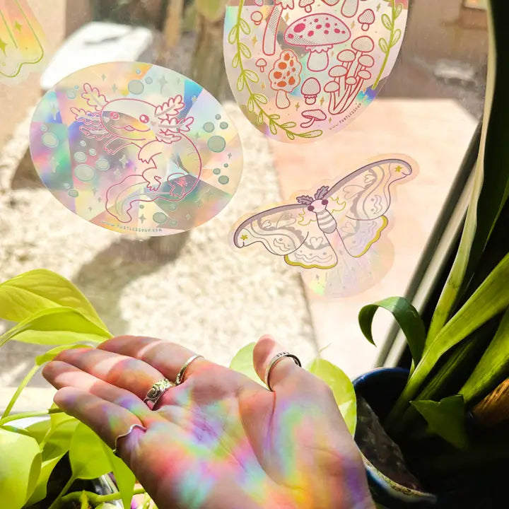 Three circular holographic suncatcher stickers featuring cacti mushrooms and a butterfly on a window