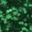 Green Glitter