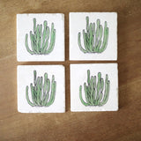 Four white square marble coasters with green organ pipe cactus illustrations on a wooden surface