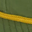Loden/Gold