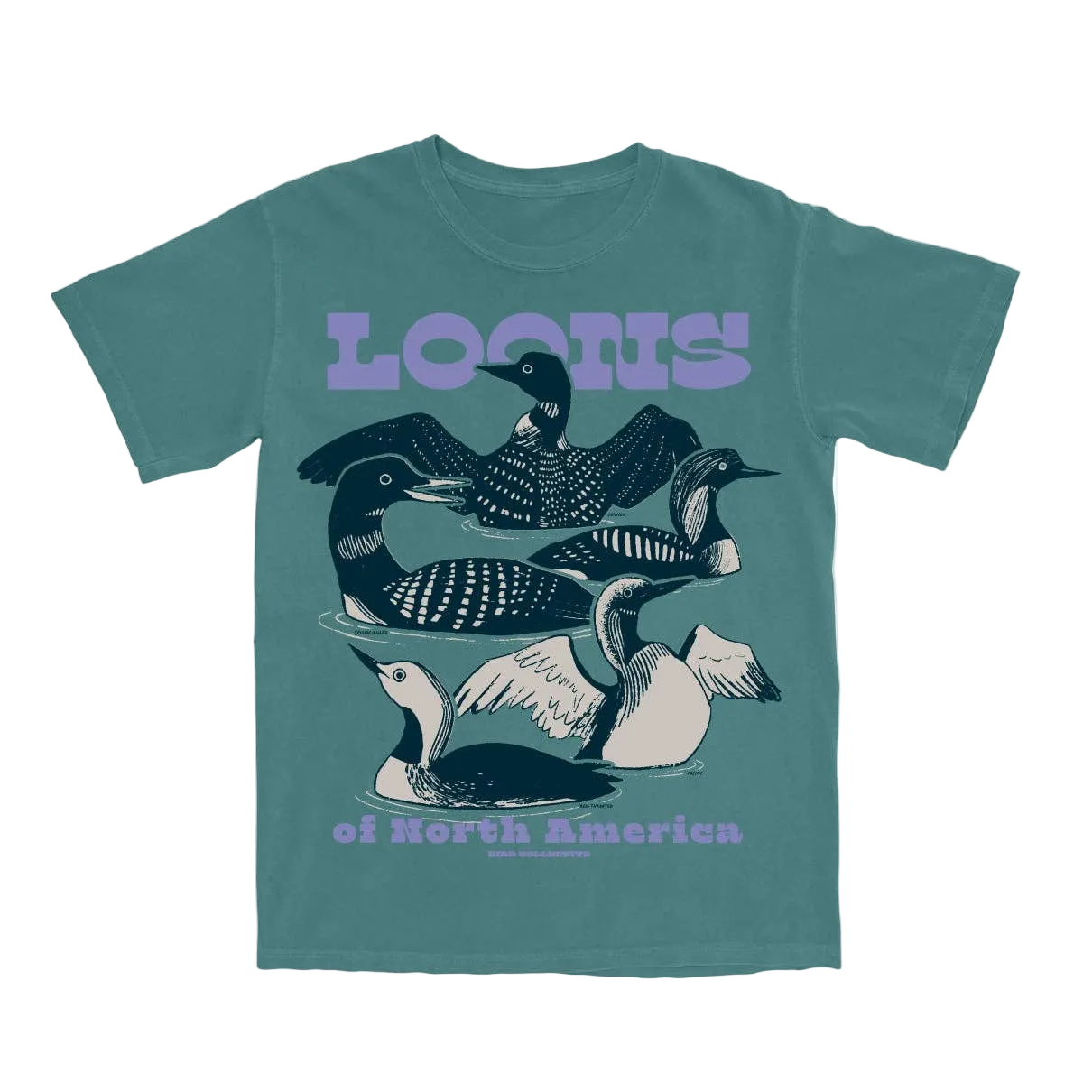Teal Loons of North America T-shirt featuring a detailed loon illustration on the front.