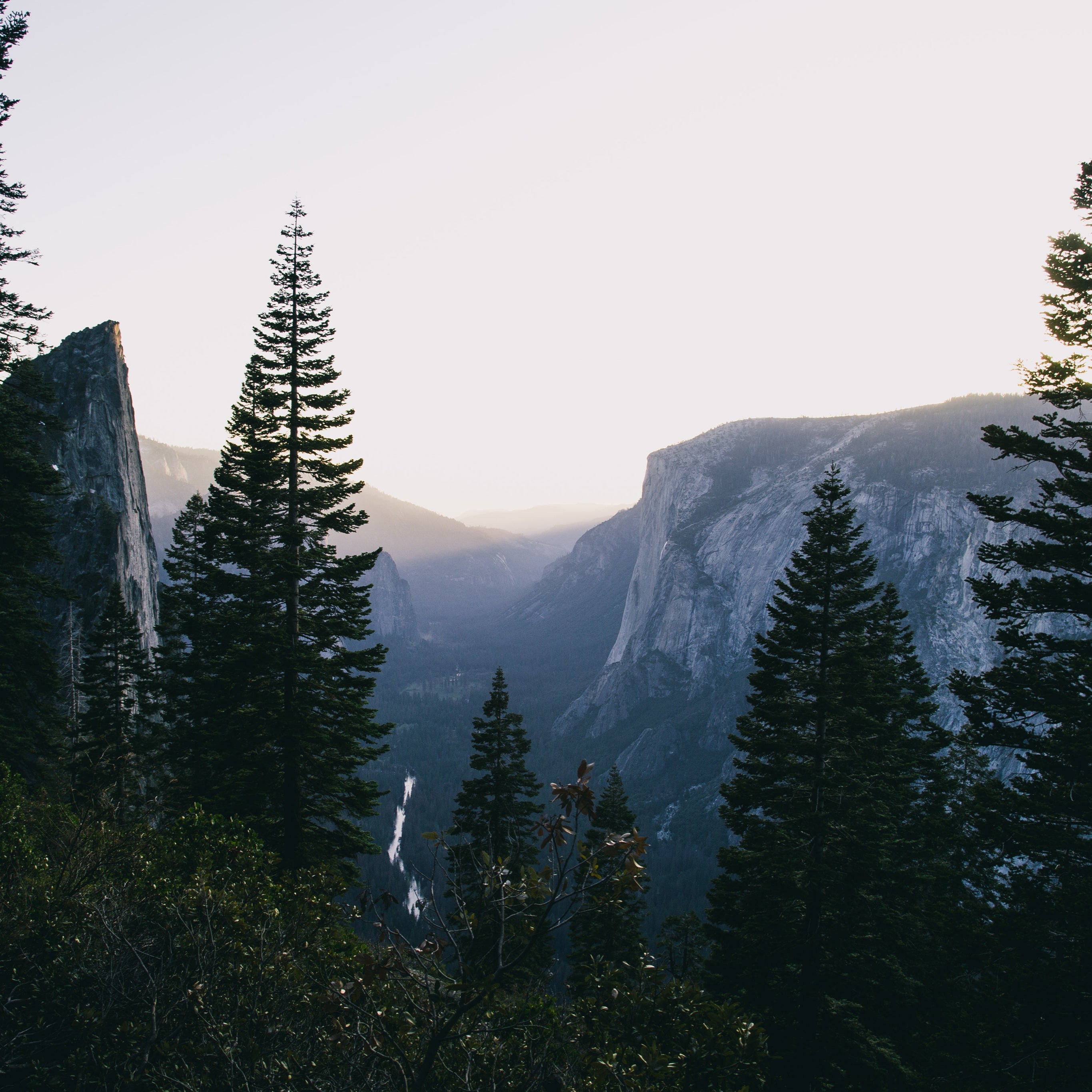 EARTHWILD Impact Fund Donation