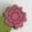 Pink Flowers
