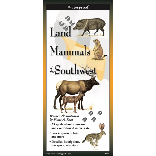 Land Mammals of the Southwest Waterproof Guide