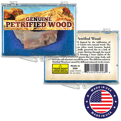 Genuine Petrified Wood Nugget Box