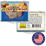 Genuine Petrified Wood Nugget Box