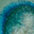 Textured Turquoise