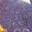 Transparent Purple