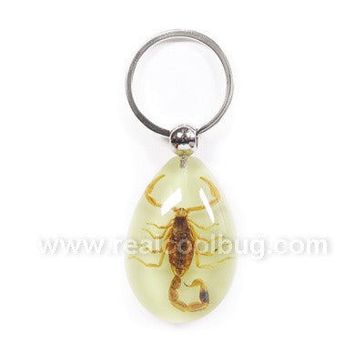 Glow-in-the-Dark Golden Scorpion Tear Drop Keychain