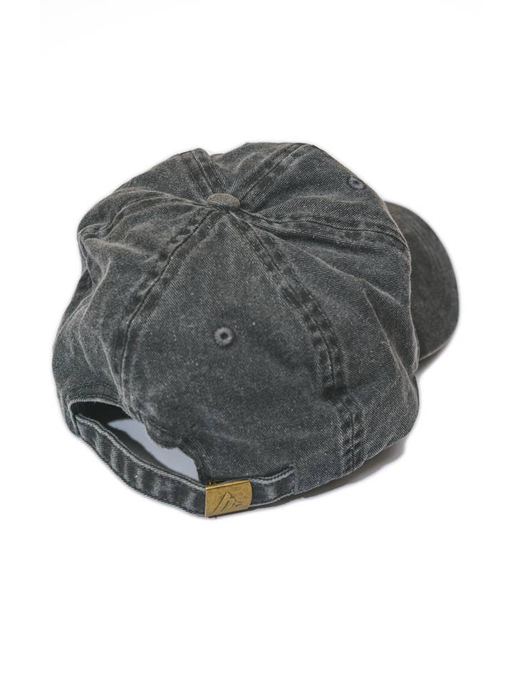 Lone Cactus Dad Hat