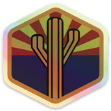 Holographic hex sticker featuring a tall cactus silhouette with a sunburst backdrop.