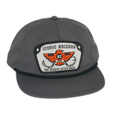 Gray unstructured hat with an iconic Arizona patch featuring red wings and The Desert Bites Back.
