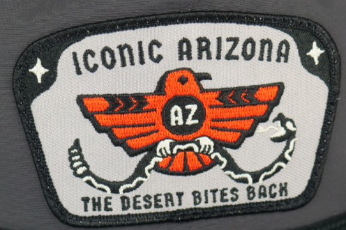 The Desert Bites Back Patch