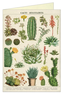 Cacti & Succulents Vintage Greeting Card
