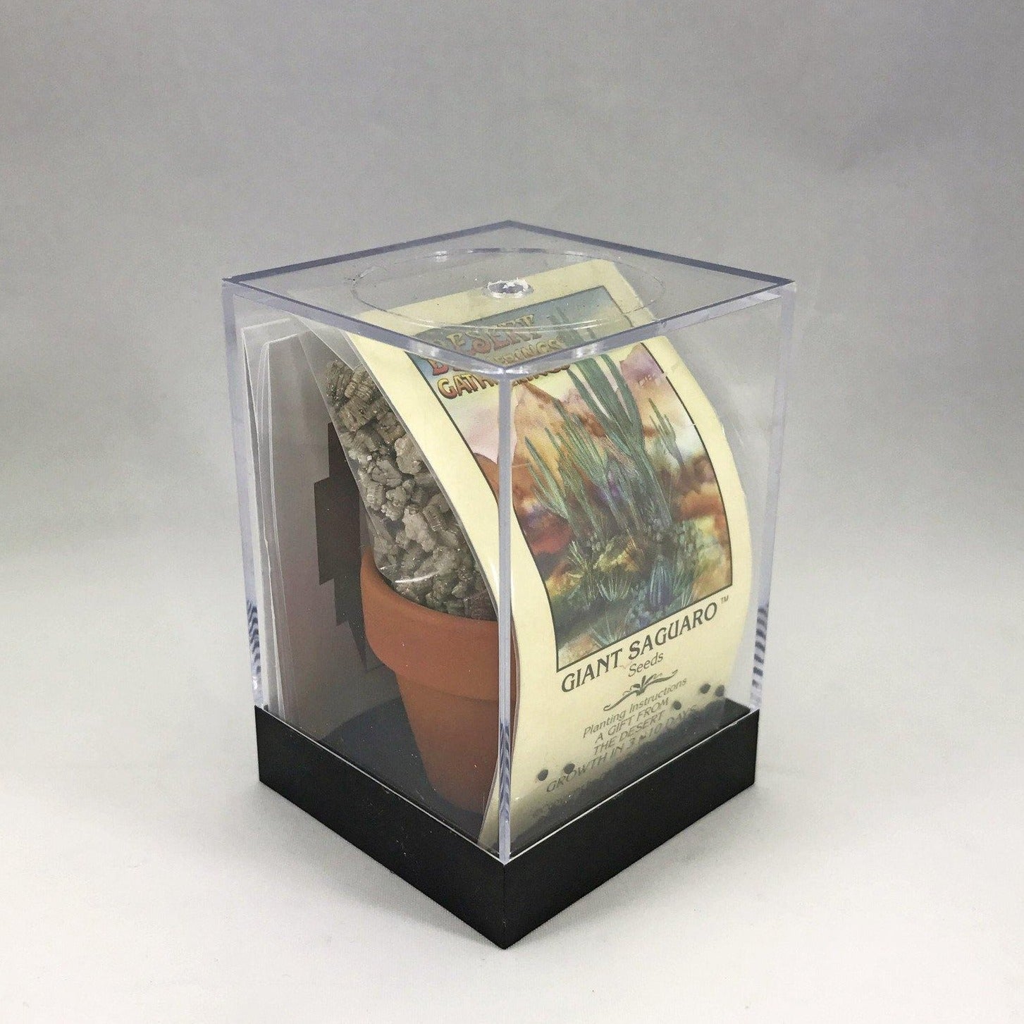 Saguaro Cactus Incubator Kit