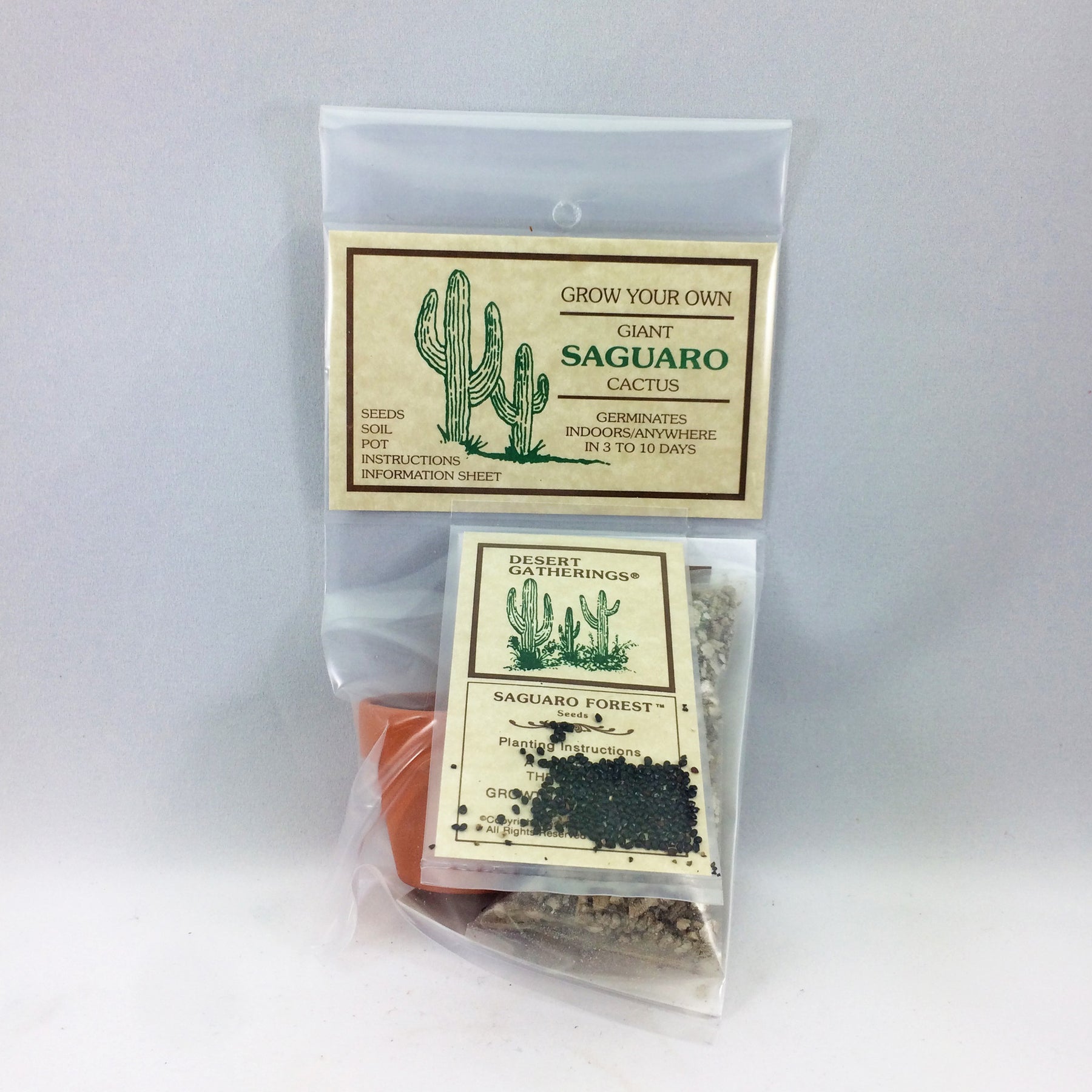 Saguaro Cactus Growing Kit