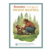 Only You Can Prevent Wildfires Poster - 12 x 16