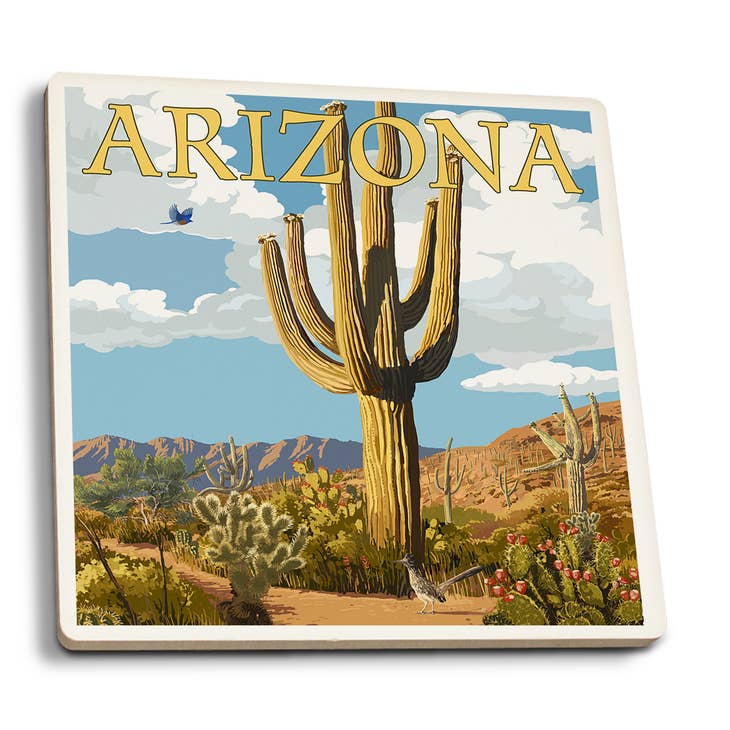 Saguaro and Roadrunner Coaster