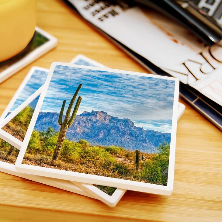Saguaros and Mountains Coaster