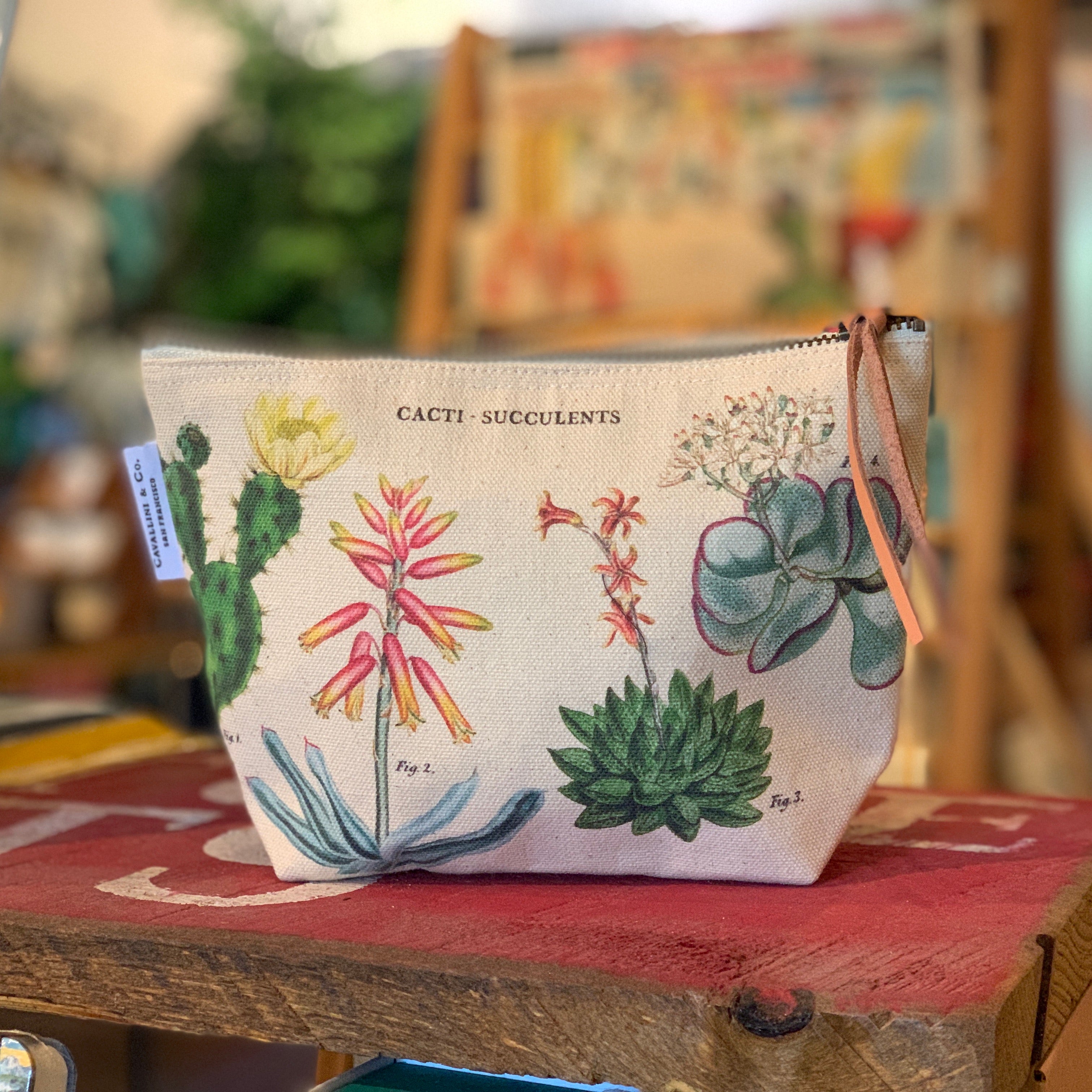 Cacti • Succulents Vintage Pouch